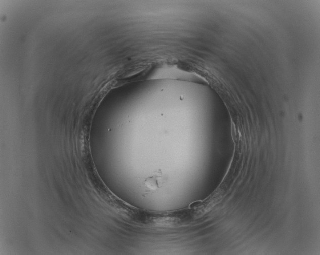 X0000076430268200610271741