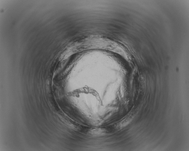 X0000076430269200610271741