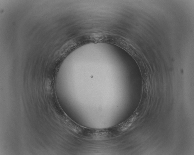 X0000076430270200610271741