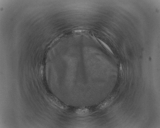 X0000076430271200610271741