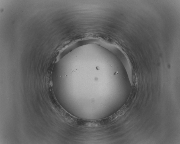 X0000076430272200610271741