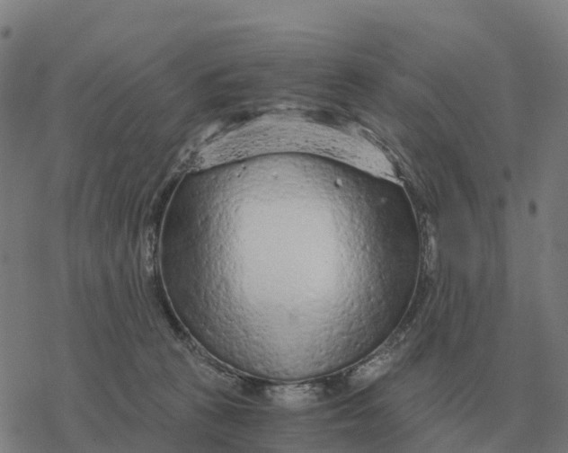 X0000076430273200610271741