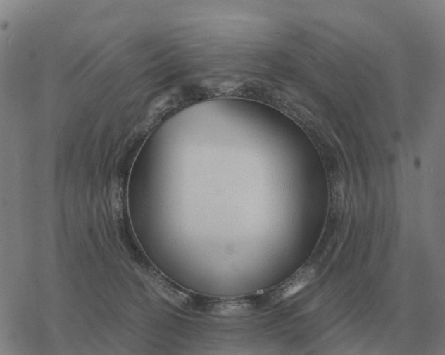 X0000076430274200610271741