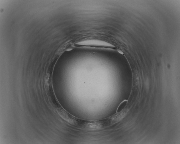 X0000076430275200610271741