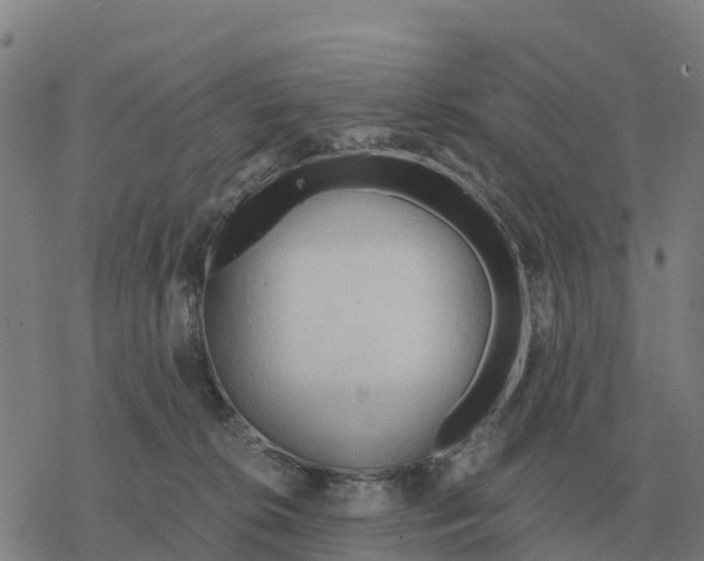 X0000076430276200610271741