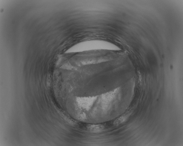 X0000076430277200610271741