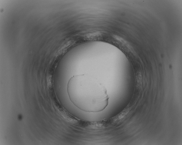 X0000076430278200610271741