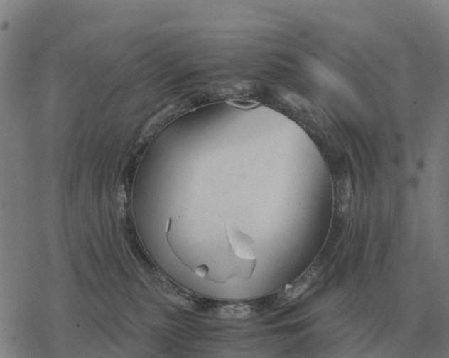 X0000076430279200610271741