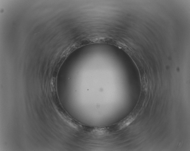 X0000076430280200610271741