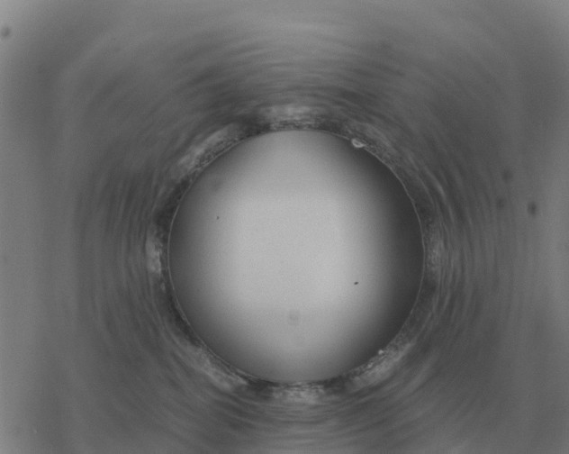 X0000076430282200610271741