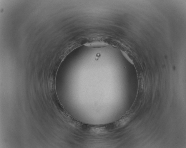 X0000076430283200610271741