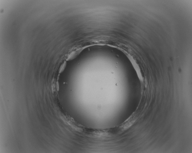 X0000076430284200610271741