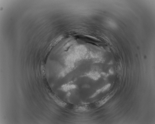 X0000076430285200610271741