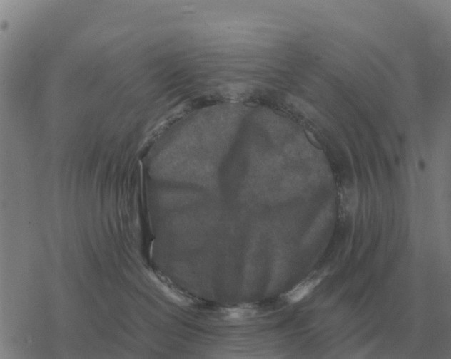 X0000076430286200610271741