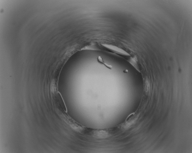 X0000076430287200610271741