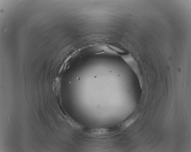 X0000076430288200610271741