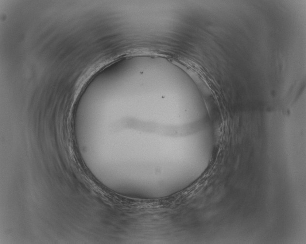 X0000076430289200610271740