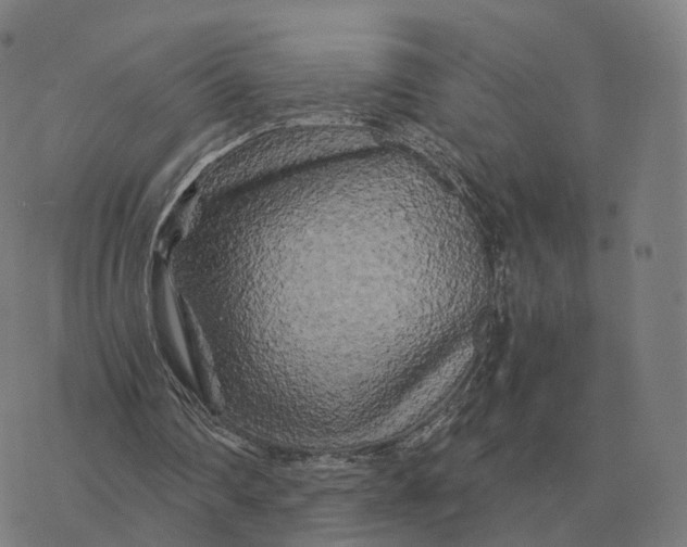 X0000076430290200610271740