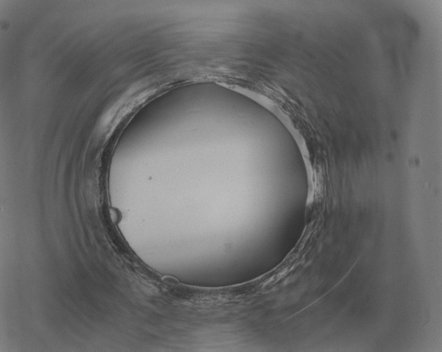 X0000076430291200610271740