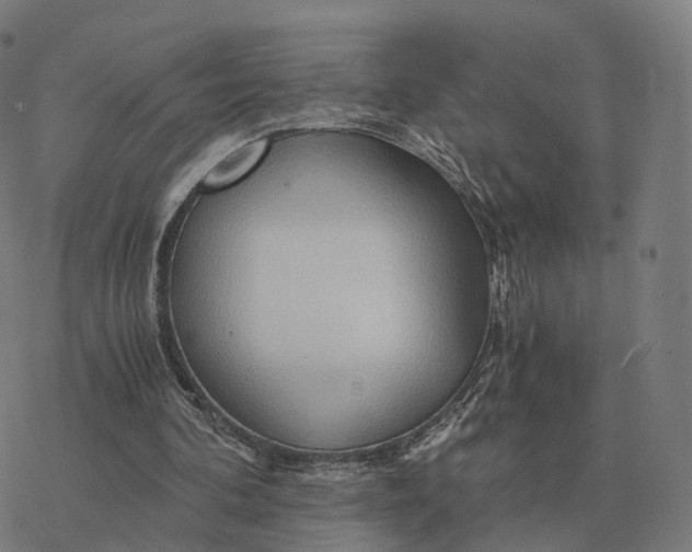 X0000076430292200610271740