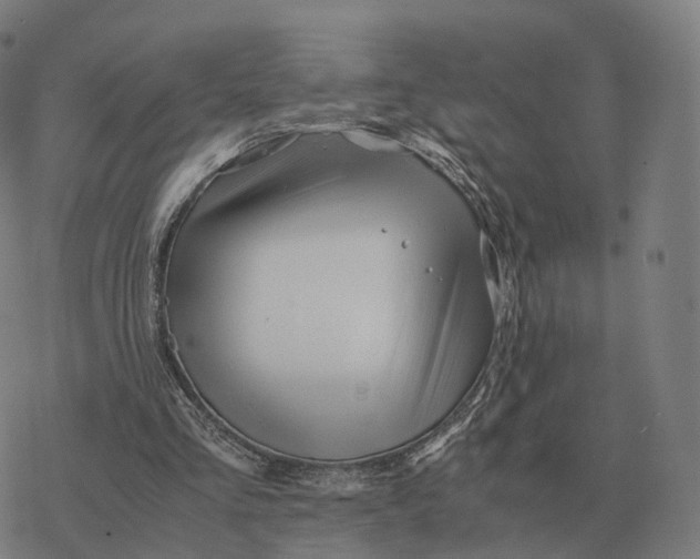 X0000076430293200610271740