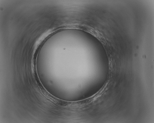 X0000076430294200610271740