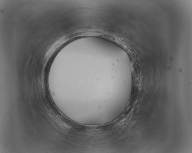 X0000076430296200610271740