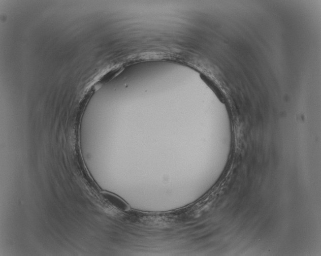 X0000076430297200610271740