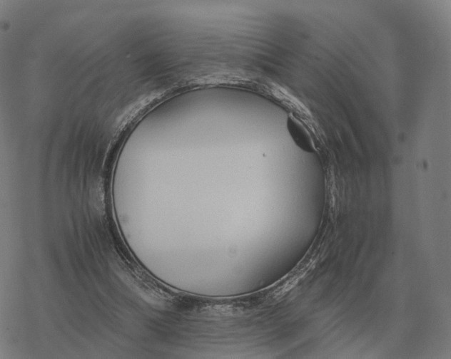 X0000076430298200610271740