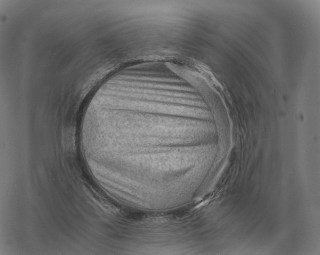 X0000076430299200610271740