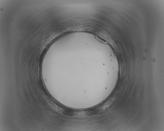 X0000076430301200610271740