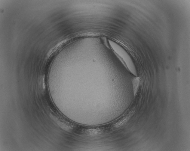 X0000076430302200610271740