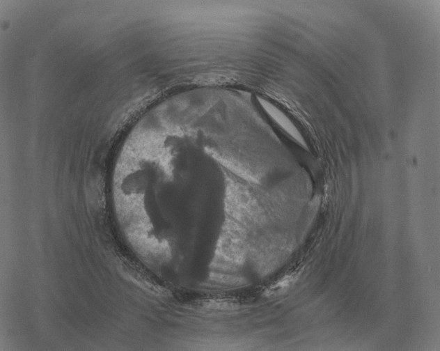 X0000076430303200610271740