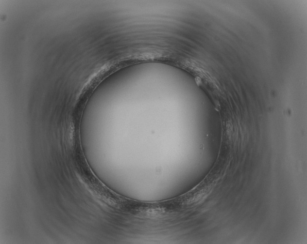 X0000076430304200610271740