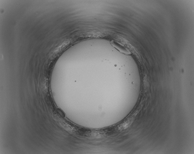 X0000076430305200610271740