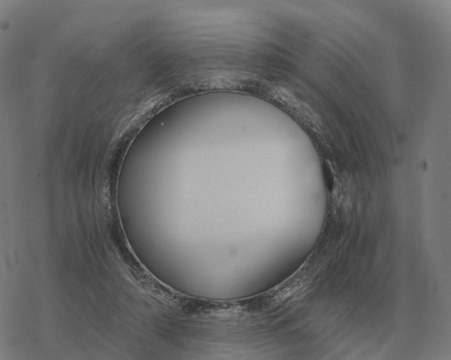 X0000076430306200610271740