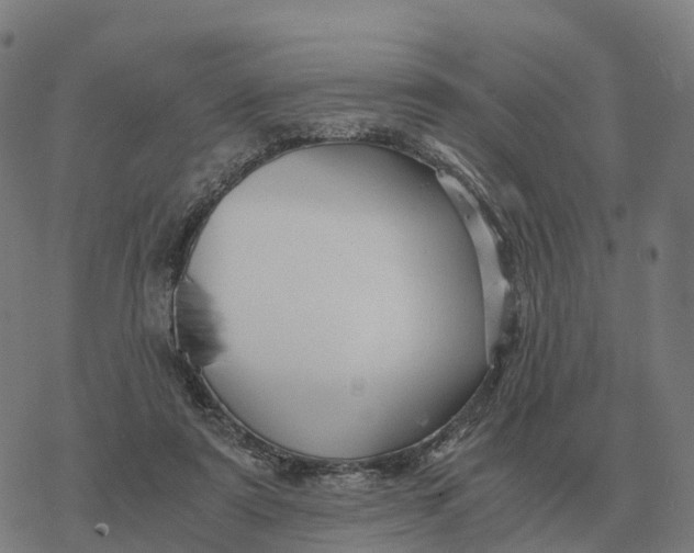 X0000076430307200610271740