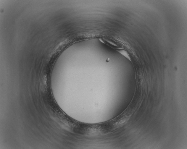 X0000076430308200610271740