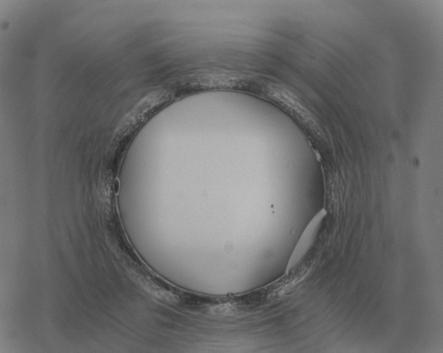 X0000076430309200610271740