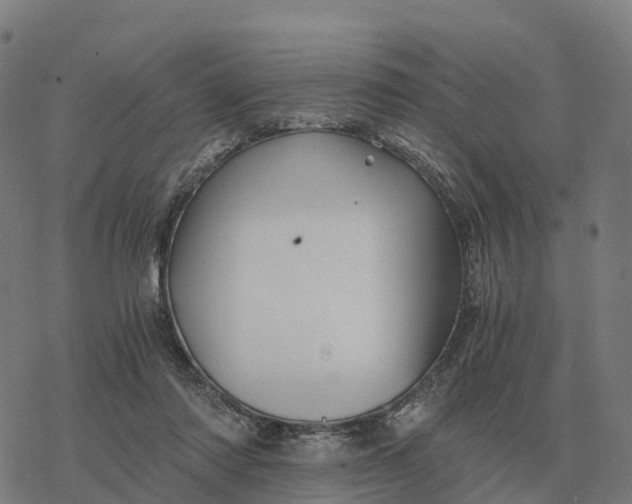 X0000076430310200610271740