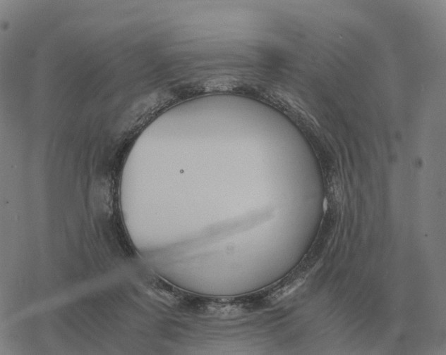 X0000076430311200610271740