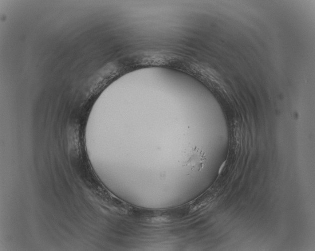 X0000076430312200610271740