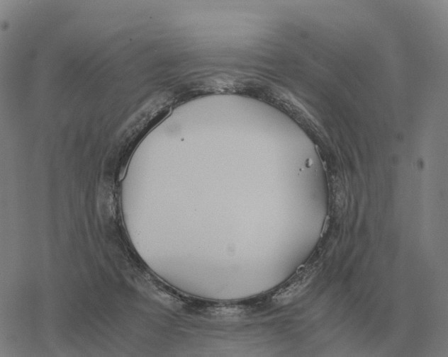 X0000076430313200610271740