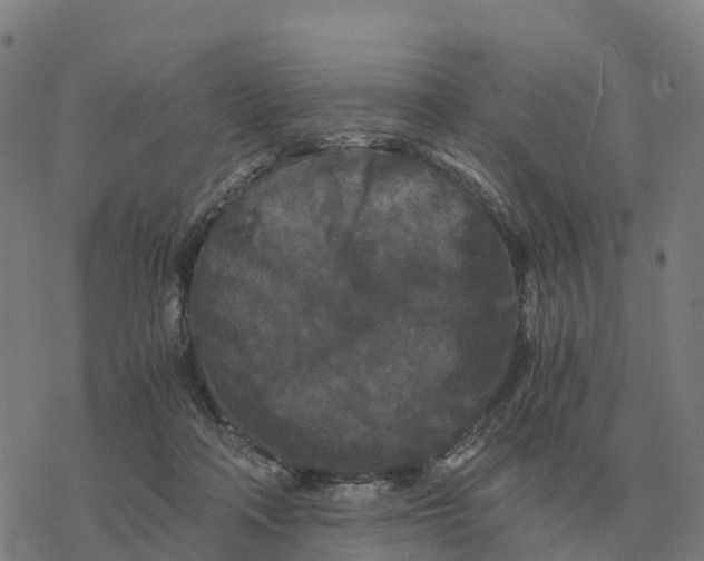 X0000076430314200610271740