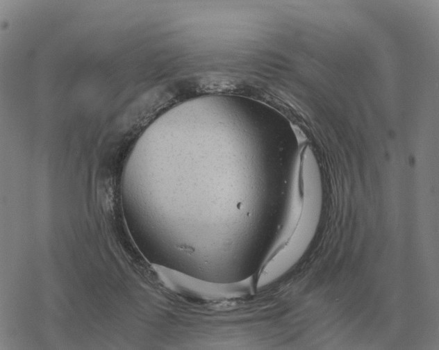 X0000076430315200610271740