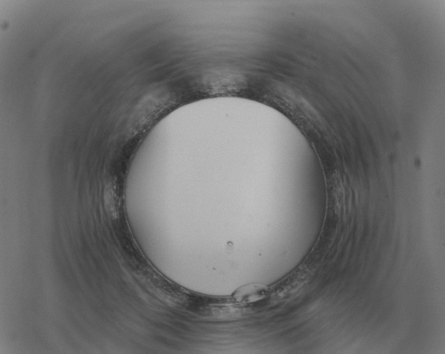 X0000076430316200610271740