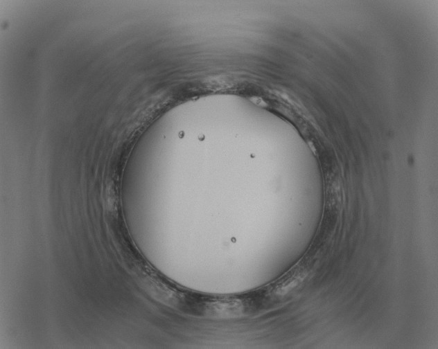 X0000076430317200610271740