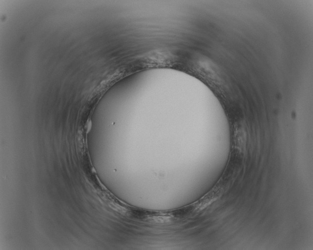 X0000076430318200610271740