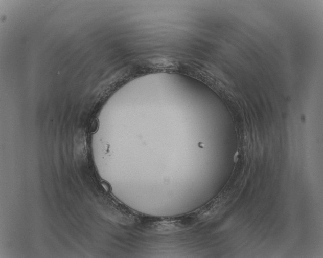 X0000076430320200610271740