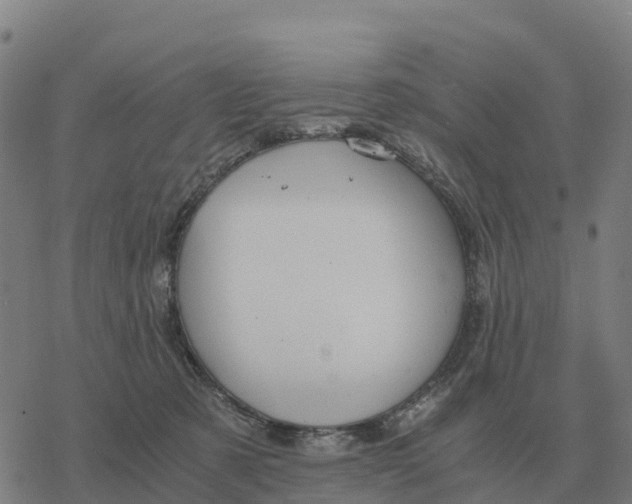 X0000076430321200610271740